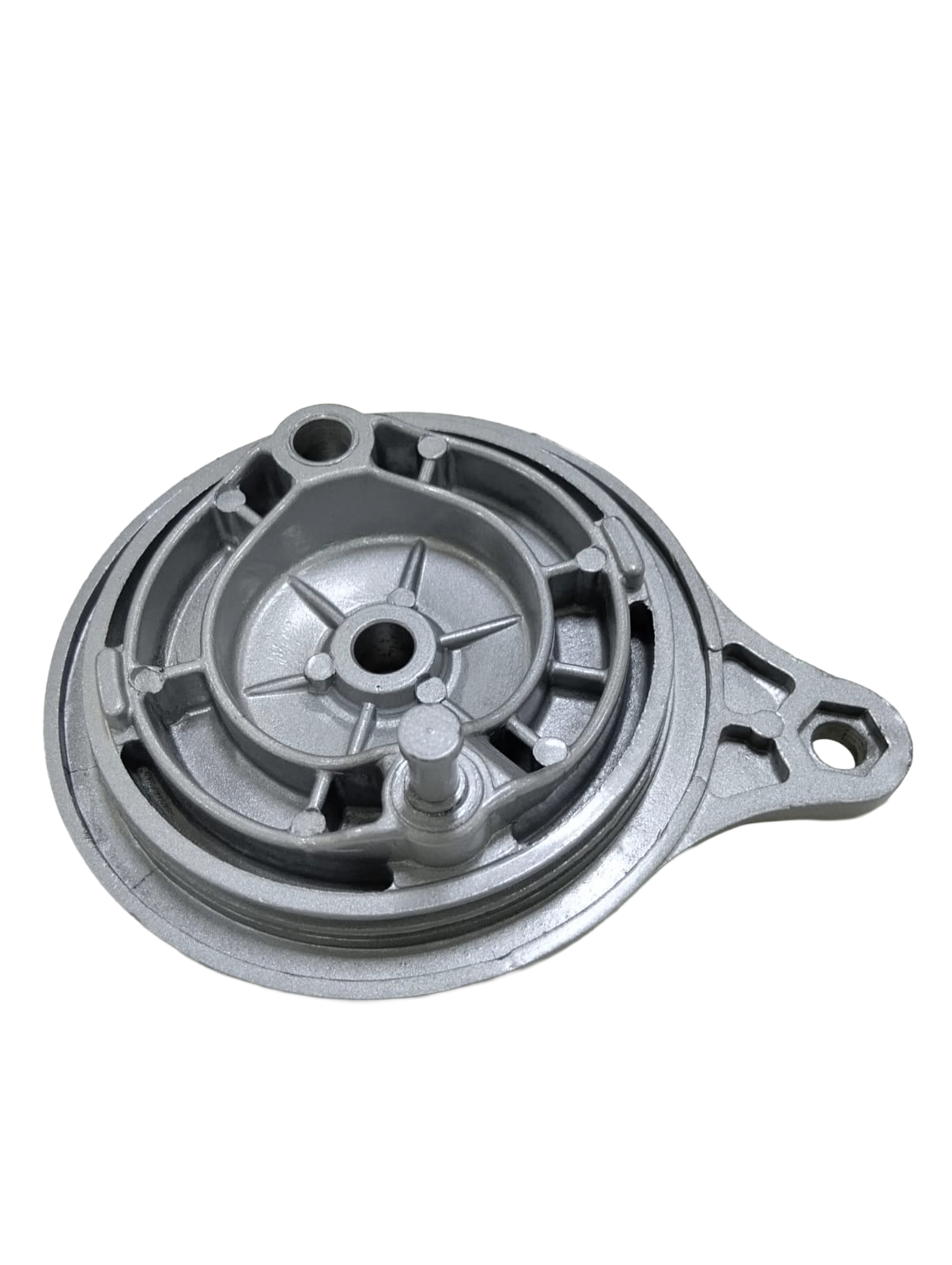 Varroc Drum Plate Rr Silver Pltn Dsvr 100 Aw Bajaj- DRUM-PLTN-PL08S
