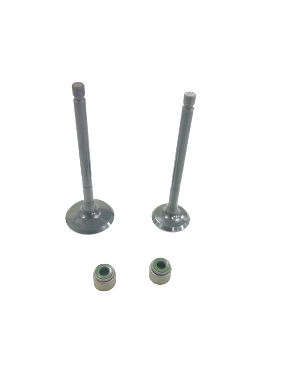 Varroc Duro Valve With Valve Seal Auto4 205 Cc Bajaj- DURO-AUTOUG-205CS