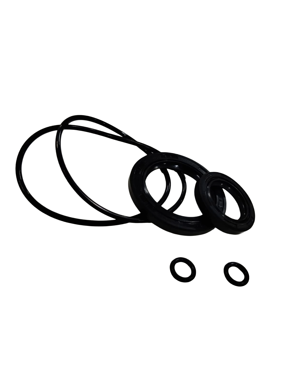 Varroc Magnet Seal Kit Pasion Pro Set Of 5 -ORING-PASN-MS02
