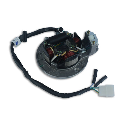 Varroc Hiro Coil Plate Assembly Splender 2 Hole Dinso MGCP-SPLD-OM2H | High-Performance Copper Winding