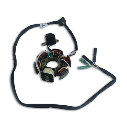 Varroc Hoonda Coil Plate Assembly Actva O M 100Cc MGCP-ATVA-3101 | High-Performance Copper Winding