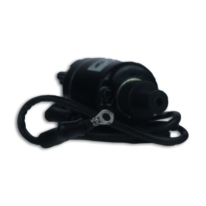 Starter Motor for PLSR 150 & 180 -STMR-PLSR-DH58