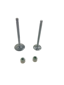Varroc  Duro Valve With Valve Seal Auto4 205 Cc Bajaj- DURO-AUTOUG-205CS