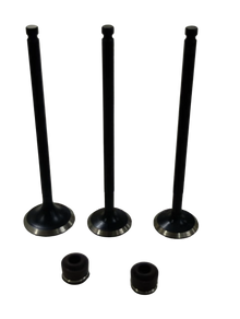 Varroc  Duro Valve With Seal Ntrq Bsiv Set Of 3 TVS- DURO-NTRQ-N33OS