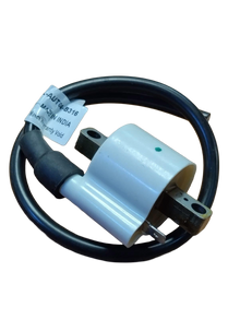 Varroc  Ht Ignition Coil Plsr Dsvr Compaq Appe Bajaj- ICOL-AUTO4-B316