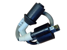 Varroc  Ht Ignition Coil Wt Plug Cap Bs4 Exp Lh Bajaj- ICOL-COMP-AA32