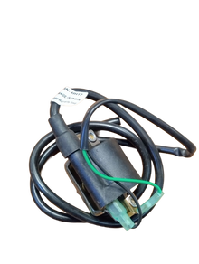 Varroc  Ht Ignition Coil Pasionÿ Plus Hero- ICOL-PASN-HH17
