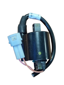Varroc  Ht Ignition Coil Phenix 125 TVS- ICOL-PHNX-T437