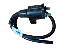 Varroc  Ht Ignition Coil Rodio Rz Uzo 125 Flyt Mahindra- ICOL-RDEO-Y909