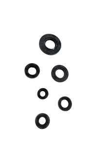 Varroc  Oil Seal Kit So6 Gixer -OSEAL-GIXR-S46GA