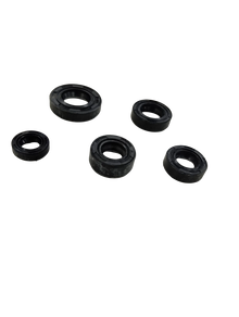 Varroc  Oil Seal Kit So5 Hayaate 110 -OSEAL-HYT1-S46H1