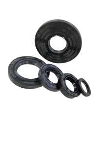 Varroc  Oil Seal Kit So5 Pleasur -OSEAL-PLESR-SEPPA