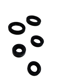 Varroc  Oil Seal Kit So5 Plsr -OSEAL-PLSR-S33P