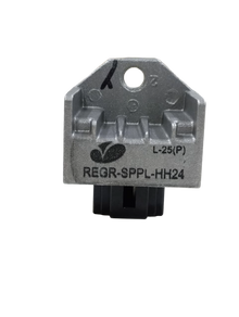 REGR-SPPL-HH24